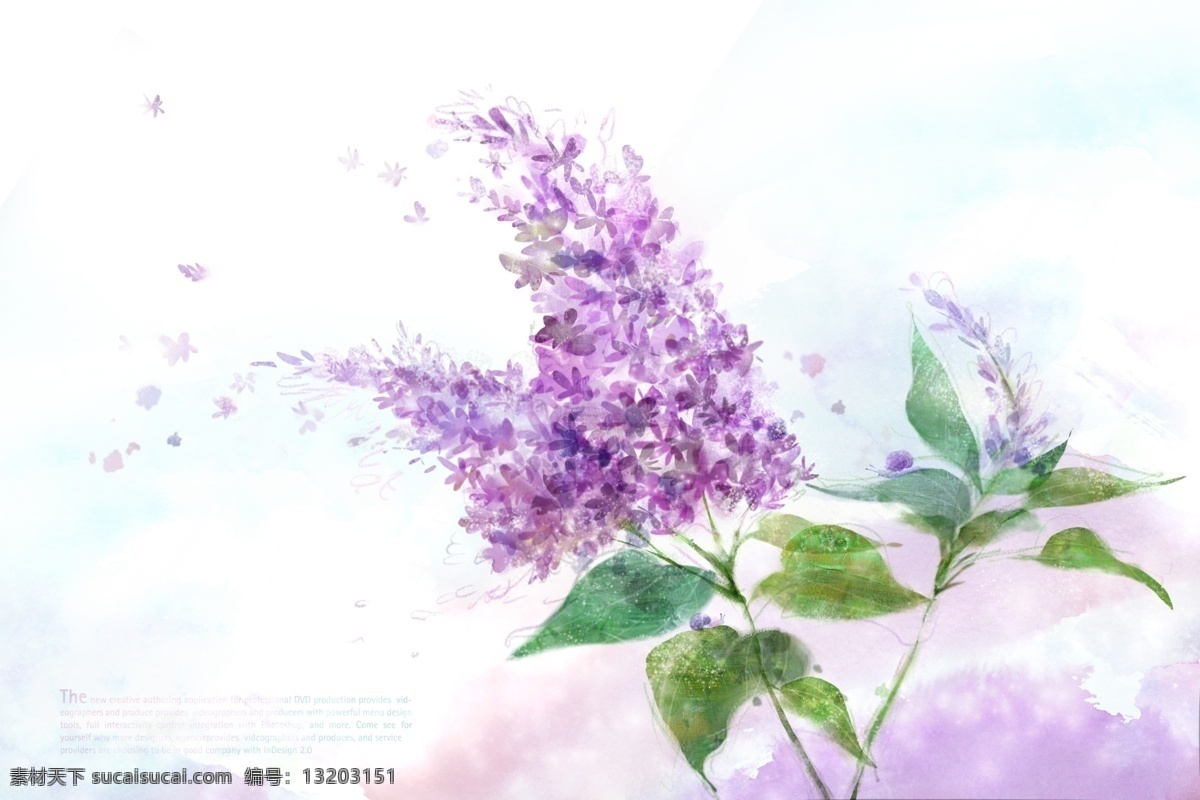 时尚 手绘 花朵 无 框 画 壁画 花卉 丝巾 印花 窗帘花纹 精美花型 花卉花型 花纹 复古布纹 背景图案 底纹边 碎花 图案 装饰花纹 花店名片 花卉名片 紫色花 葡萄 文化艺术 绘画书法