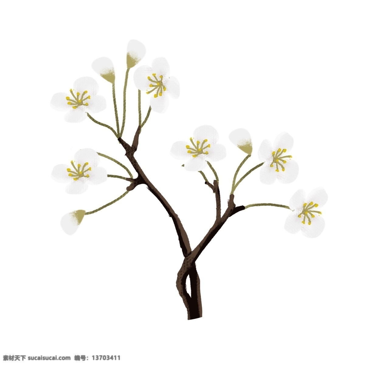 手绘 花卉 彩色 卡通 免抠 透明底 无背景 原创 平面设计 装饰设计 插画 装饰 小清新 通用