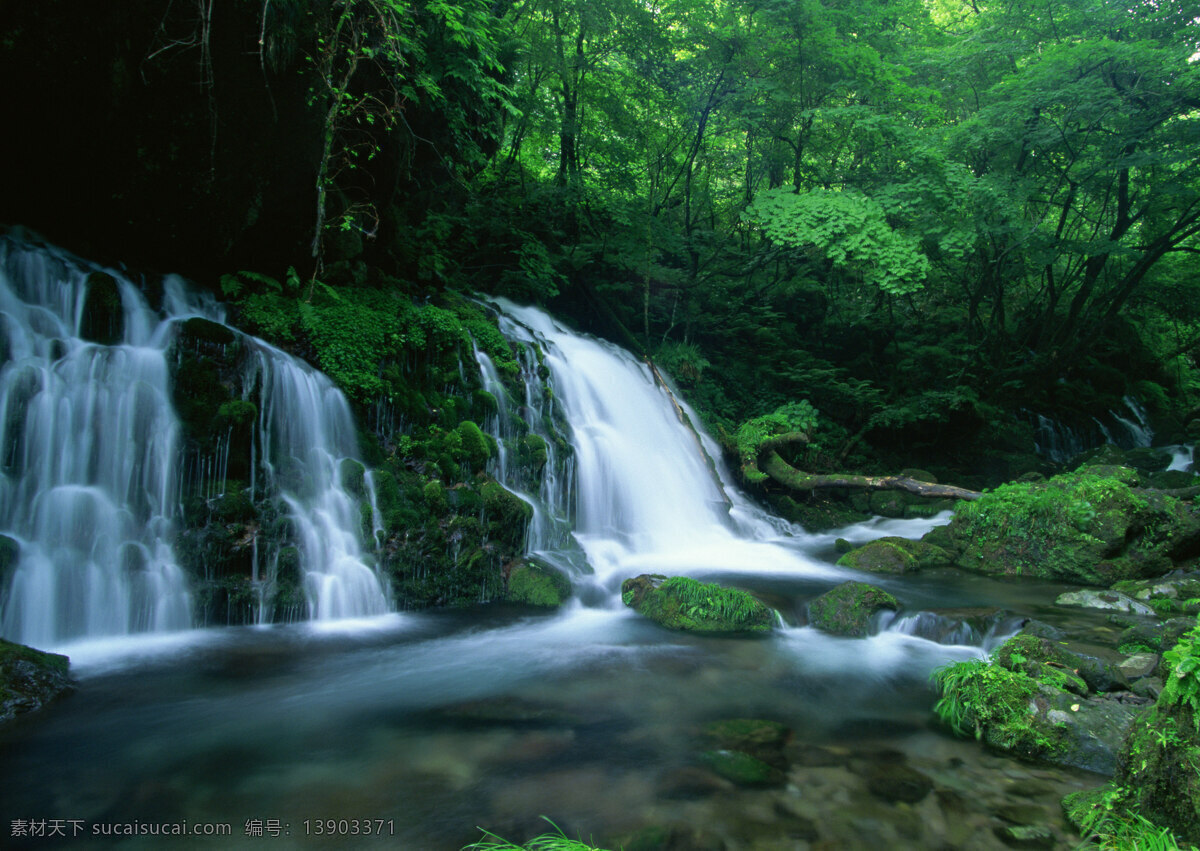 丛林 流水 风景 图片壁纸 壁纸 生活 旅游餐饮