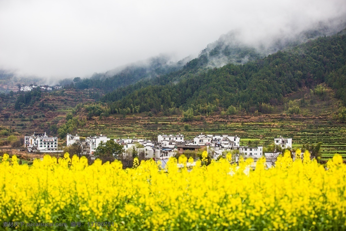 婺源 江西 油菜花 山峦 雾 村庄 旅游摄影 国内旅游 黄色