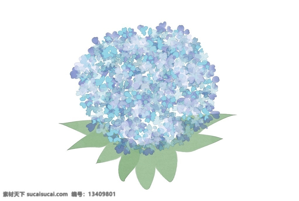 美丽 手绘 绣 球花 八仙花 绣球花 花朵 唯美花卉 自然景观 自然风光