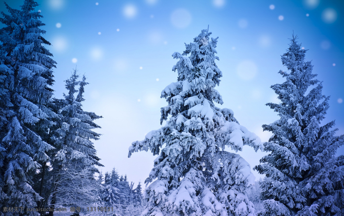 森林雪景 冬季 雪景 冬季雪景 大雪 雪 树 树林 自然风景 自然景观