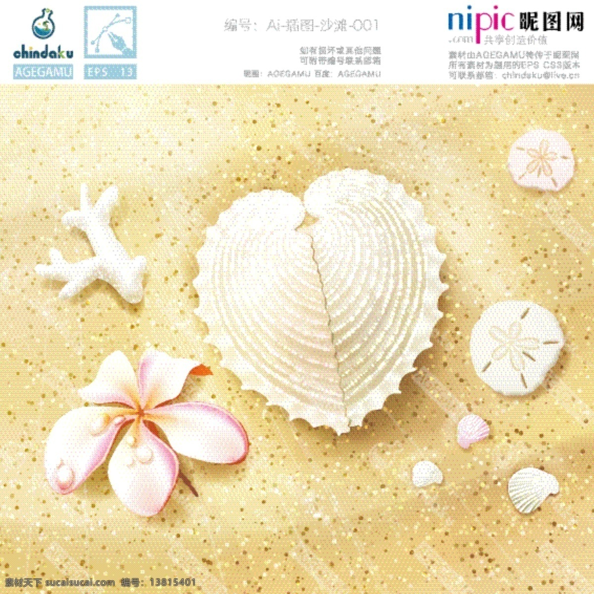 沙滩贝壳 沙滩 贝壳 珊瑚 贝类 花朵 大海 精美 唯美 糯糯 chindaku 花纹 底纹