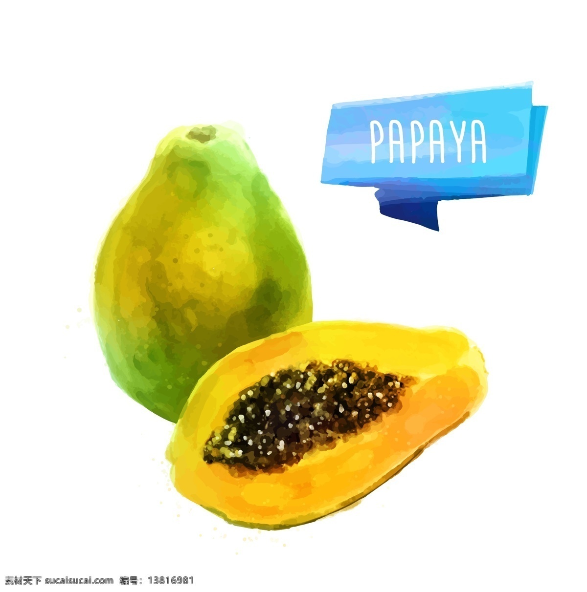 木瓜 水彩 水果 矢量 木瓜水彩 水果矢量素材 papaya 生物世界
