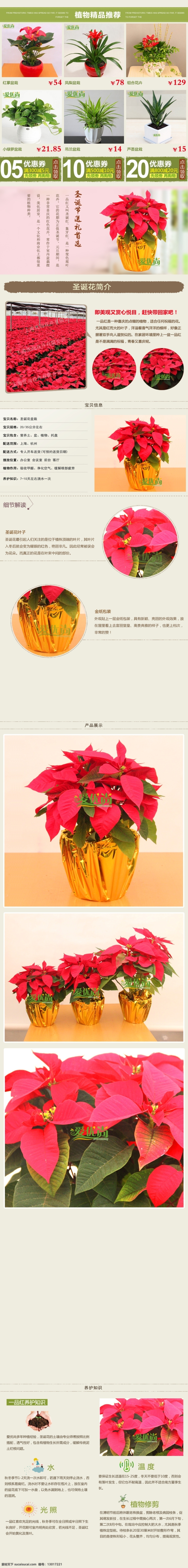 植物 花卉 详情 描述 圣诞花 圣诞 淘宝素材 淘宝设计 淘宝模板下载