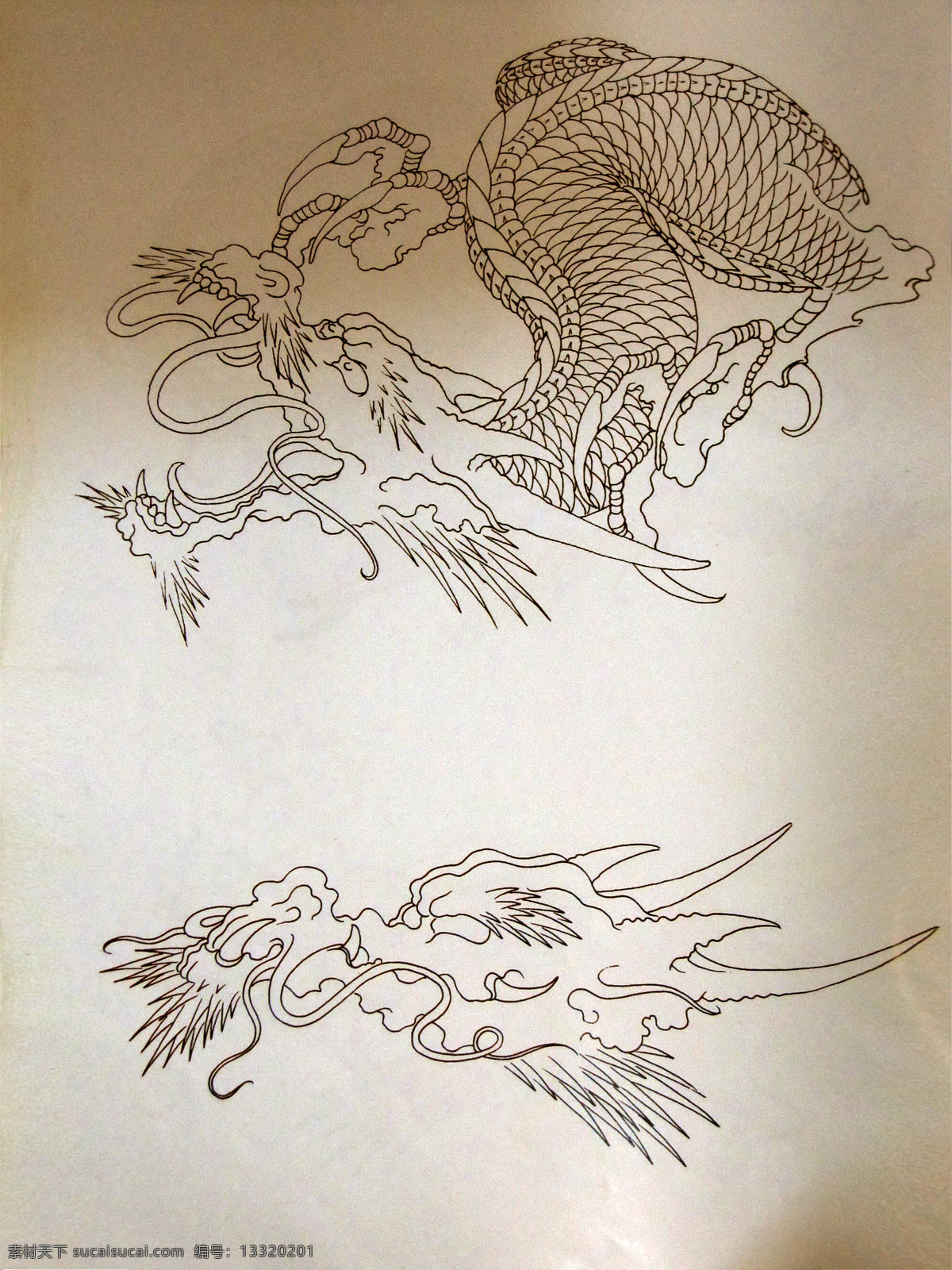 飞龙线稿 亮 传统 刺青 画集 绘画 阿亮 古典 文化艺术 传统文化