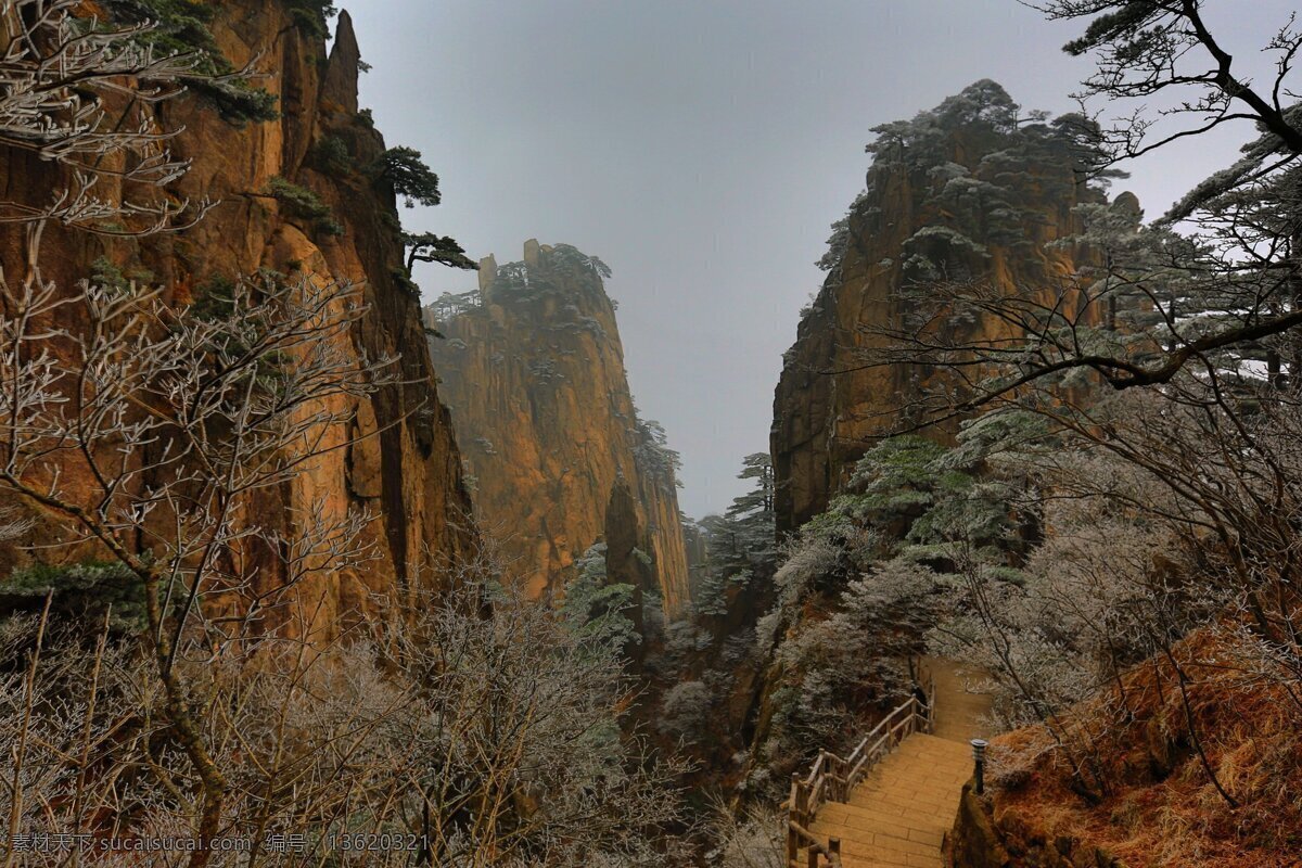 美丽 安徽 黄山 风景 山脉 山峰 山丘 高山