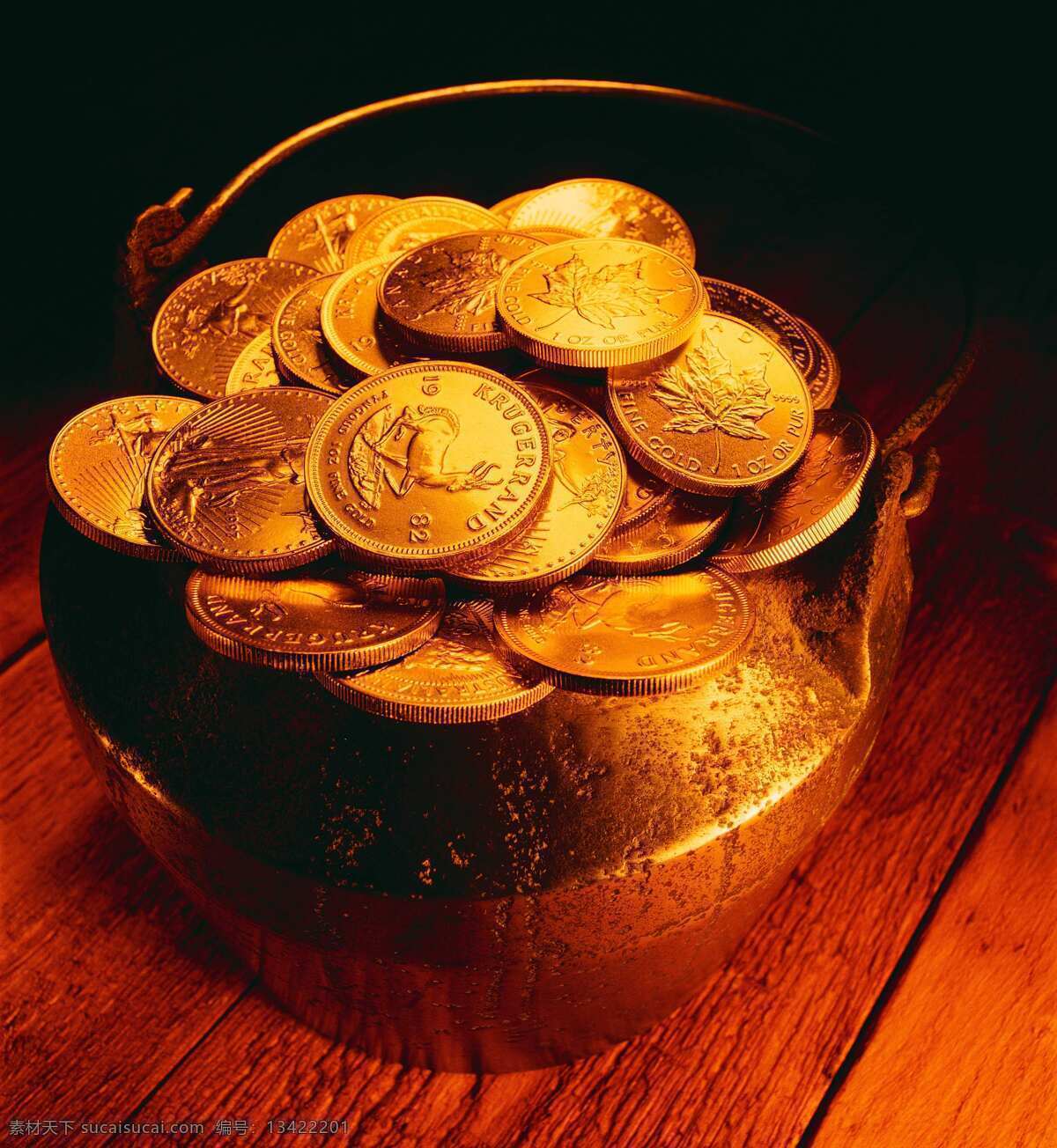 黄金 纵横 形象 黄金纵横 真金 商务金融