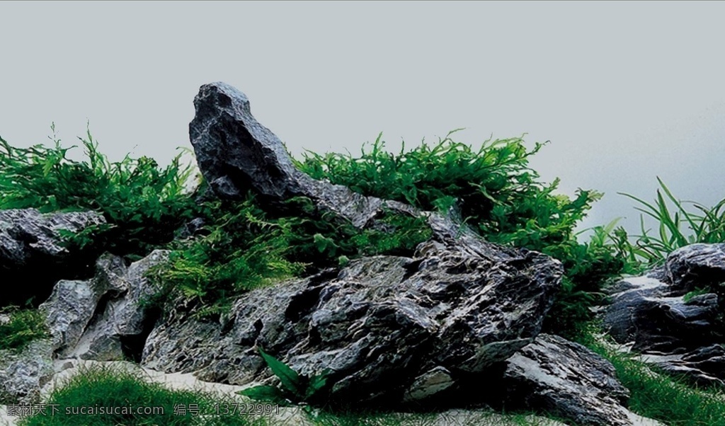 鱼缸造景艺术 高清实景拍摄 背景素材 高清 正胶贴图 鱼缸背景 造景 文化艺术