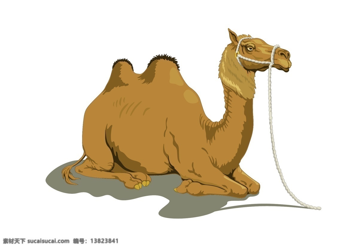 矢量骆驼 卡通骆驼 手绘骆驼 骆驼插画 骆驼插图 彩色骆驼 骆驼侧面 行走骆驼 动物 标志图标 其他图标