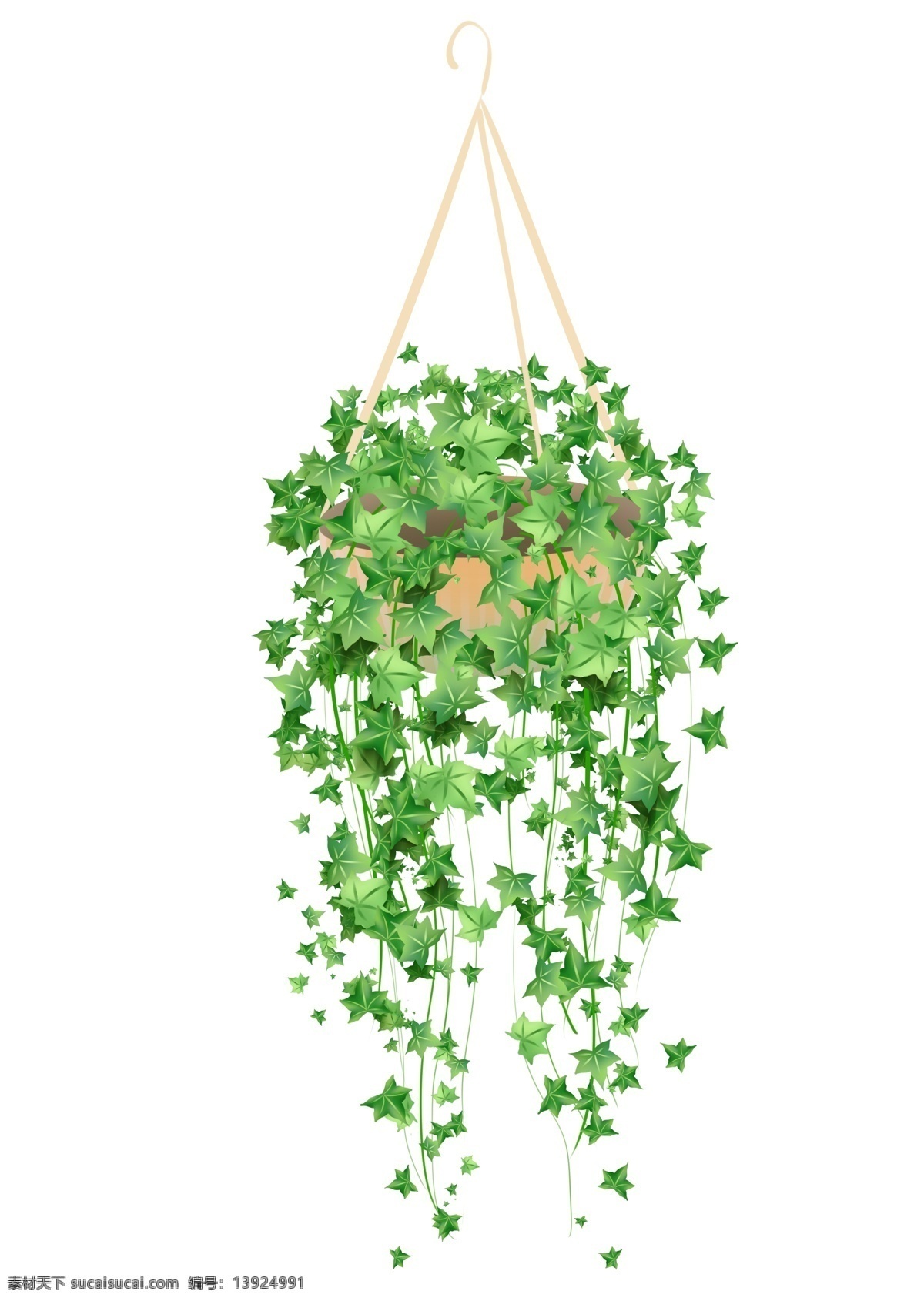 原创 手绘 常春藤 植物 吊篮 装饰 植物吊篮 装饰图案 ps 自然 叶子
