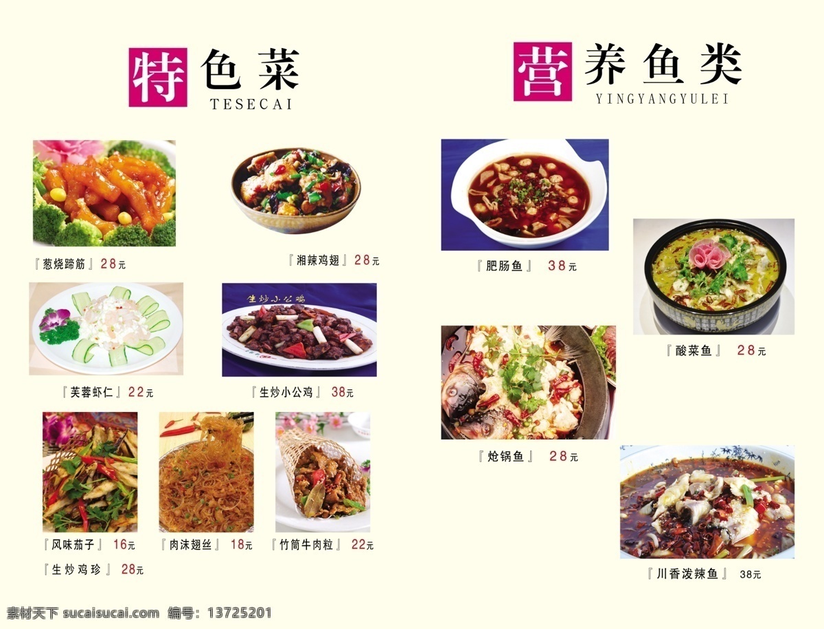 菜谱设计 特色菜 营养鱼类 葱烧蹄筋 湘辣鸡翅 芙蓉虾仁 生炒小公鸡 风味茄子 肉沫翅丝 竹筒牛肉粒 生炒鸡珍 肥肠鱼 酸菜鱼 炝锅鱼 川香泼辣鱼 dm宣传单 广告设计模板 源文件
