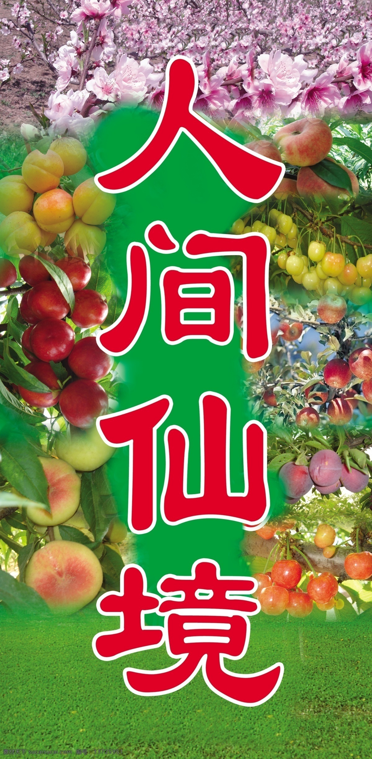 人间仙境 百果庄园 桃子 杏 李子 潘桃 苹果 樱桃 桃花 绿地 展板模板 广告设计模板 源文件
