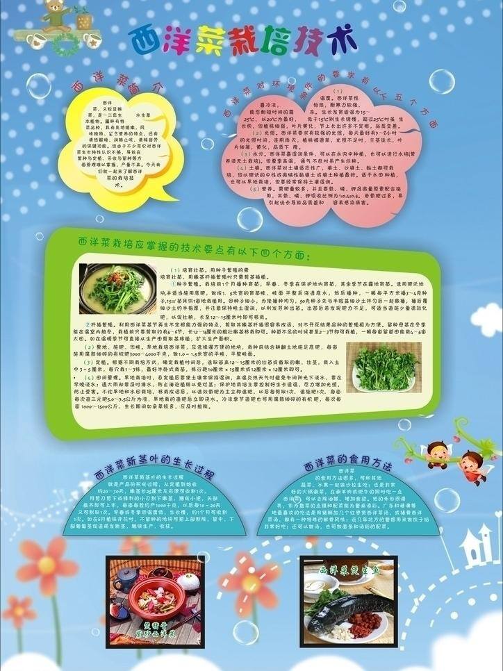 西洋 菜 栽培技术 白云 背景 边框 花朵 农作物 气泡 藤蔓 西洋菜 小朋友 学习 小熊 矢量 psd源文件