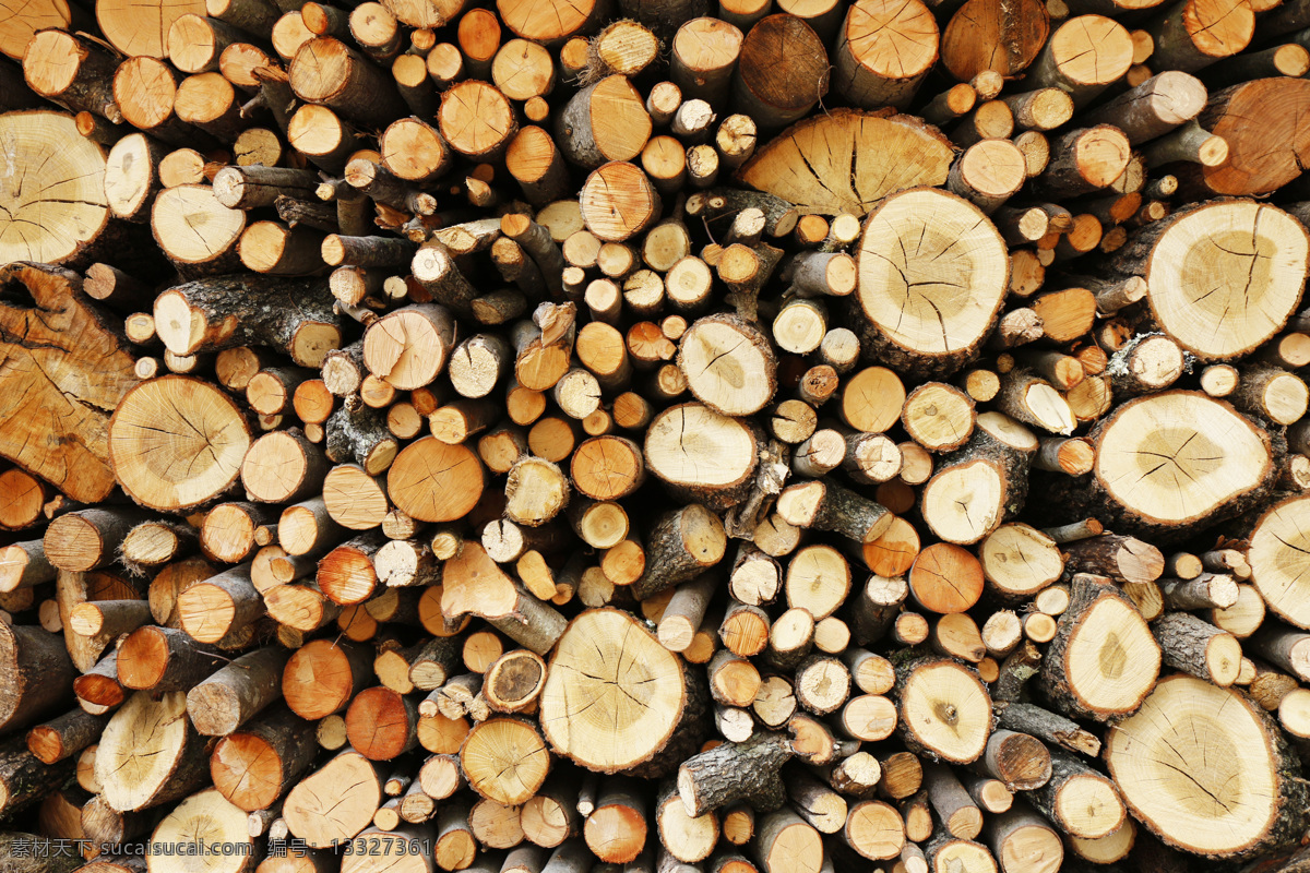 放在 一起 柴火 木头 堆 木材 木头材质 木头背景 花草树木 生物世界