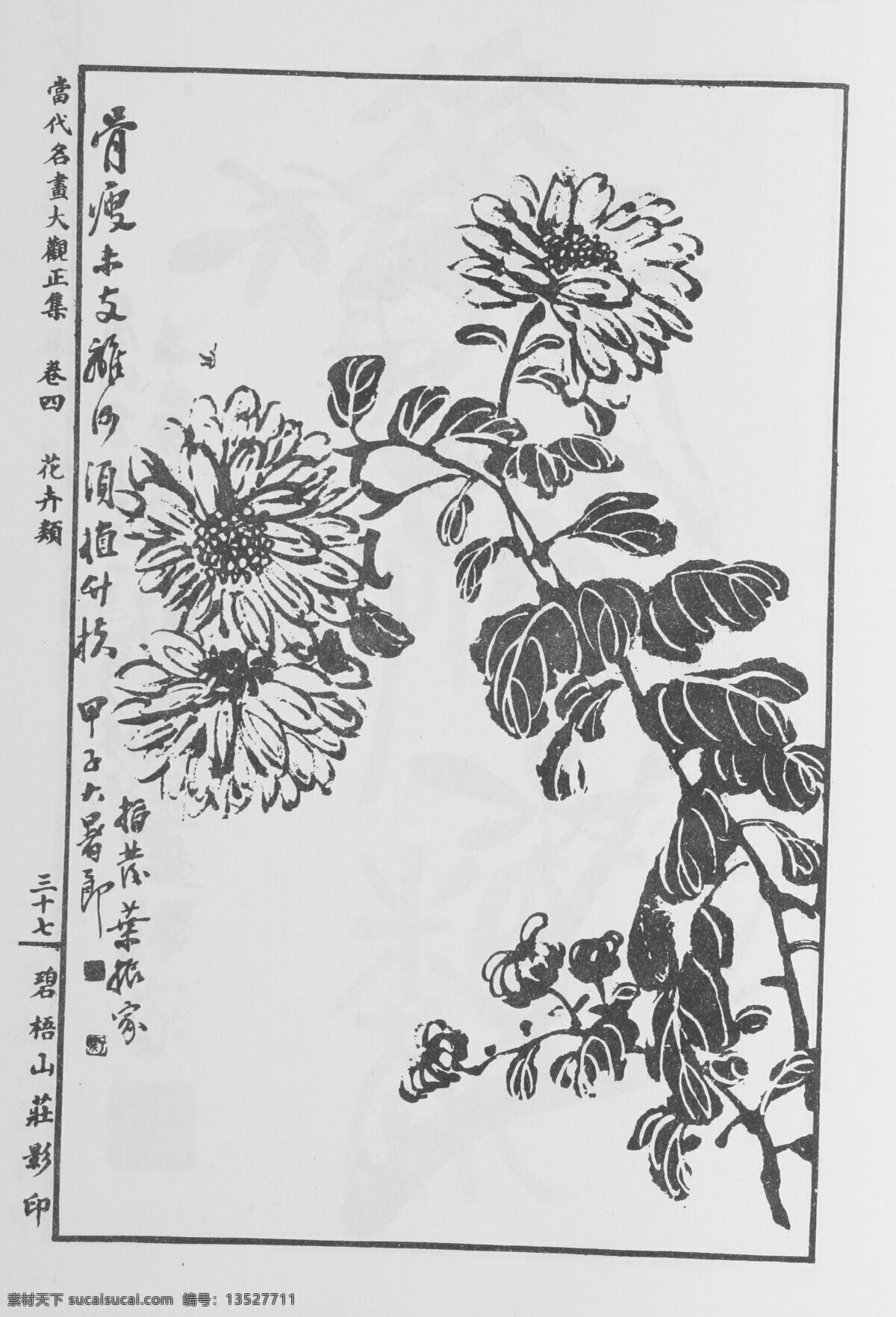 花卉画 中国画 当代 名画 大观 正 集 设计素材 花鸟画篇 中国画篇 书画美术 白色