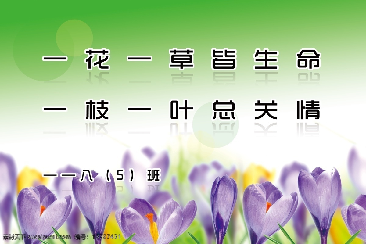 爱护学校花草 爱护花草标语 花 绿色背景 学校展板 展板模板 广告设计模板 源文件
