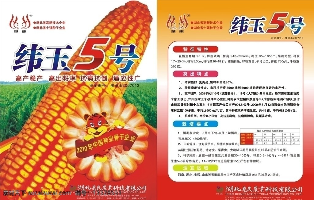 玉米种子彩页 玉米种子 玉米田地 亮丽的字体 dm宣传单 矢量