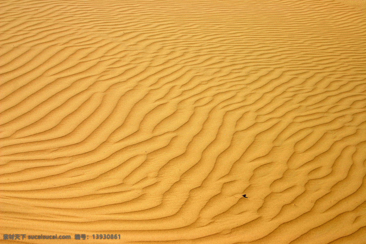 沙漠 沙漠贴图 沙漠素材 沙漠背景 沙漠风光 沙漠荒漠 戈壁 风沙 沙丘 戈壁沙漠 沙漠纹理 沙子纹理 沙子背景 沙滩纹理 沙粒材质贴图 粗沙 塔里木沙漠 戈壁滩 底纹边框 背景底纹