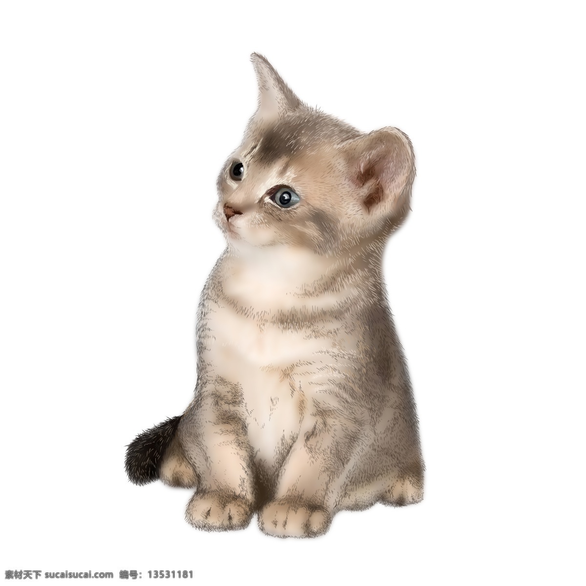 可爱 仿真 小 猫咪 一只小猫咪 可爱的 小动物 手绘原创 萌宠 宠物 免抠图