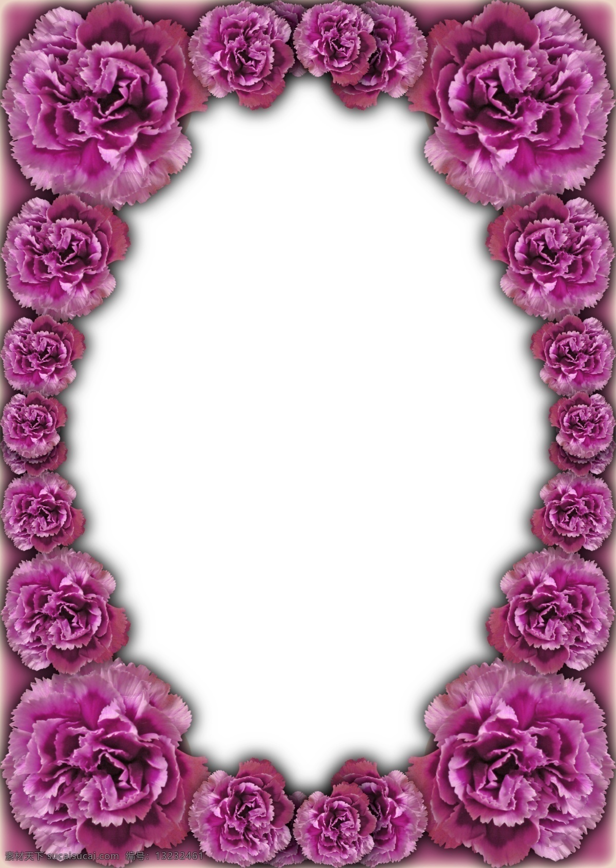 紫红 玫瑰花 相框 边框 分层 花卉 玫瑰 植物 psd源文件 婚纱 儿童 写真 相册 模板