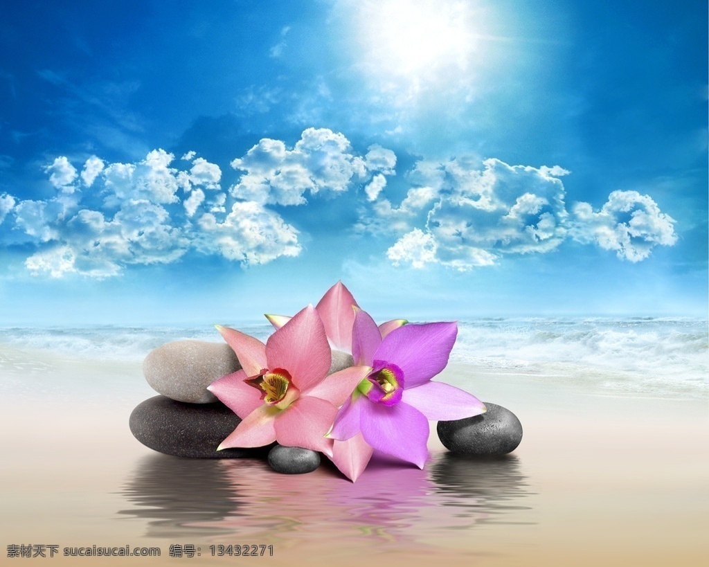 美容禅石鲜花 美容 spa 禅石 石块 石头 鲜花 天空 云彩 海洋 波浪 生活百科