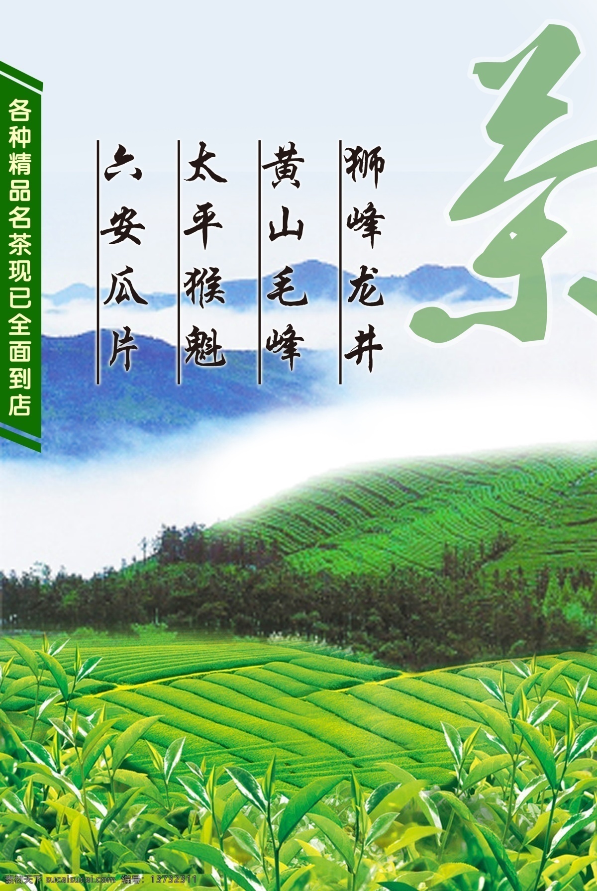 茶 龙井 海报 灯片 高清 分层