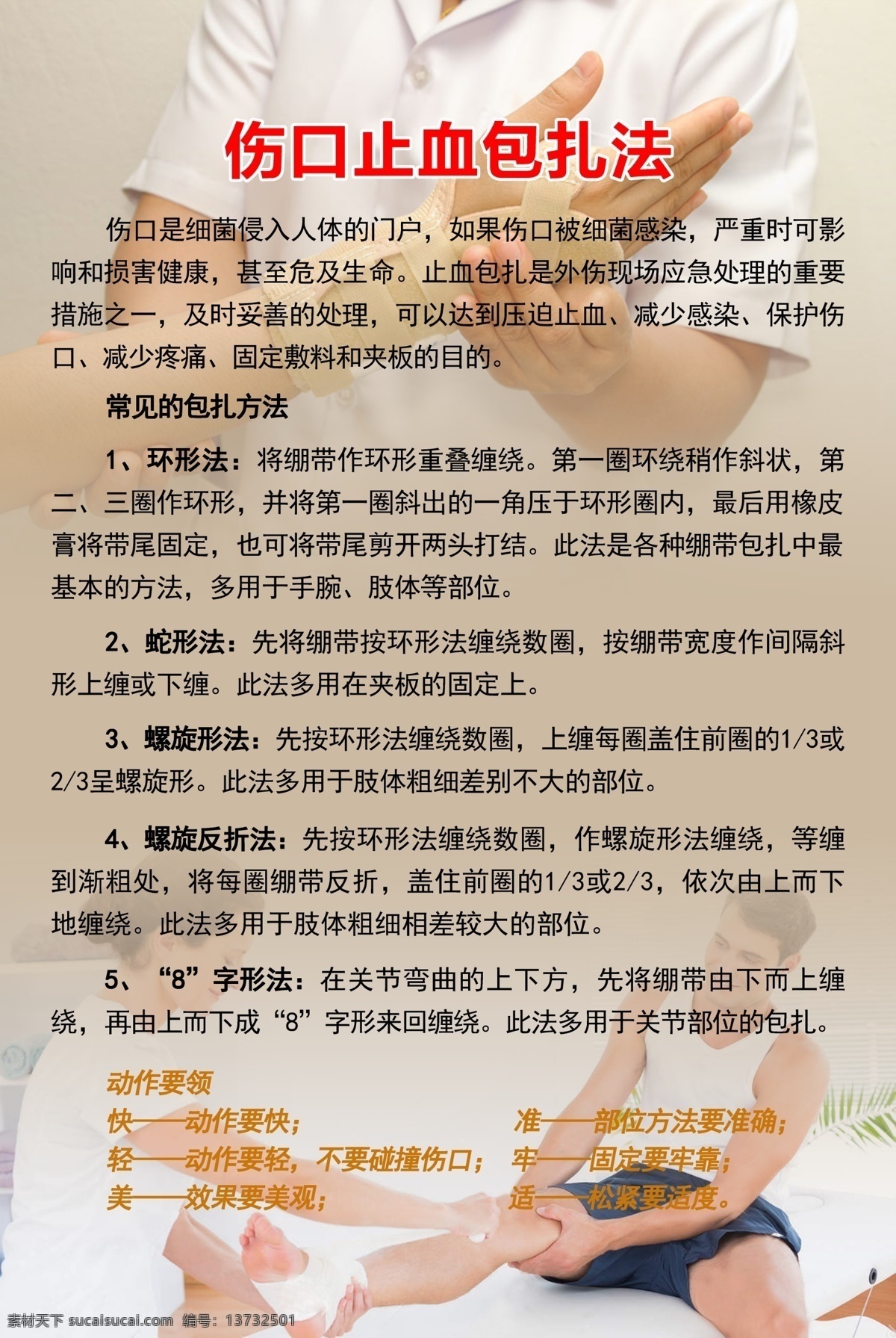 伤口 止血 包扎 法 方法 展板