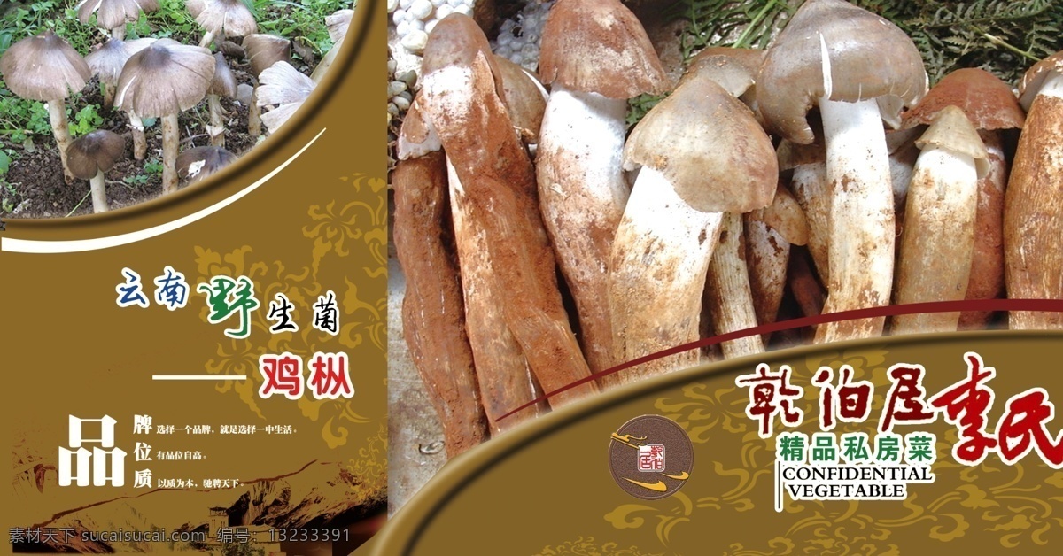 菜单菜谱 广告设计模板 山珍 野生菌 源文件 野生 鸡 枞 菌 模板下载 野生鸡枞菌 鸡枞 云南特产 鸡枞品牌宣传 淘宝素材 淘宝促销海报