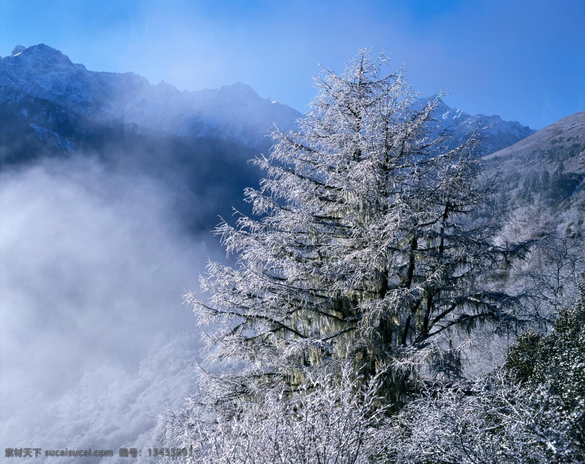 云雾 弥漫 山林 横构图 天空 蓝天白云 雪山 高山 山峰 云雾弥漫 冬季 冬日 冬天 寒冷 树木 树林 冬景 风景 高清风景图片 高清图片 山水风景 风景图片