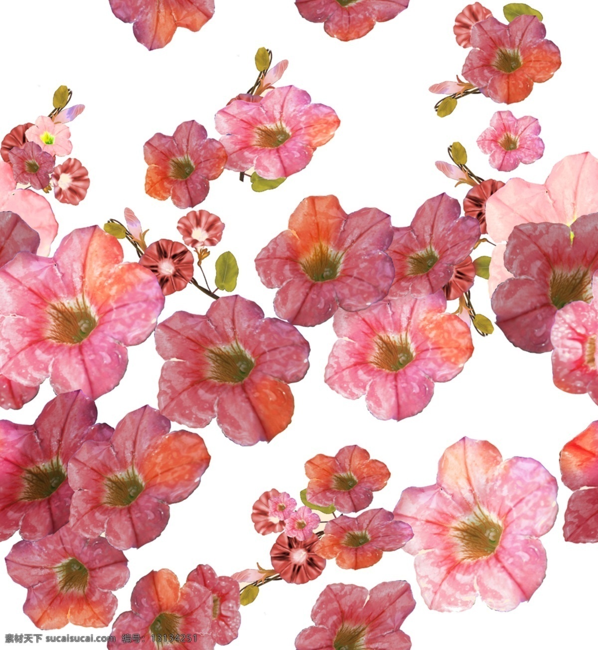 红花免费下载 红花 花朵 喇叭花 矢量图 花纹花边
