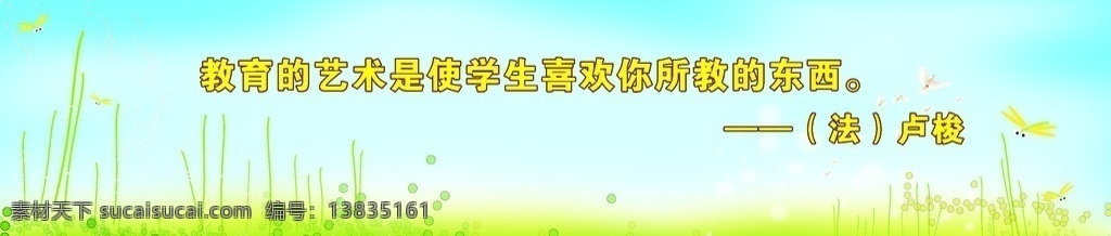 清新背景 大背景画面 学校展板 绿草地 蜻蜓 白色飞翔的鸟 学校类
