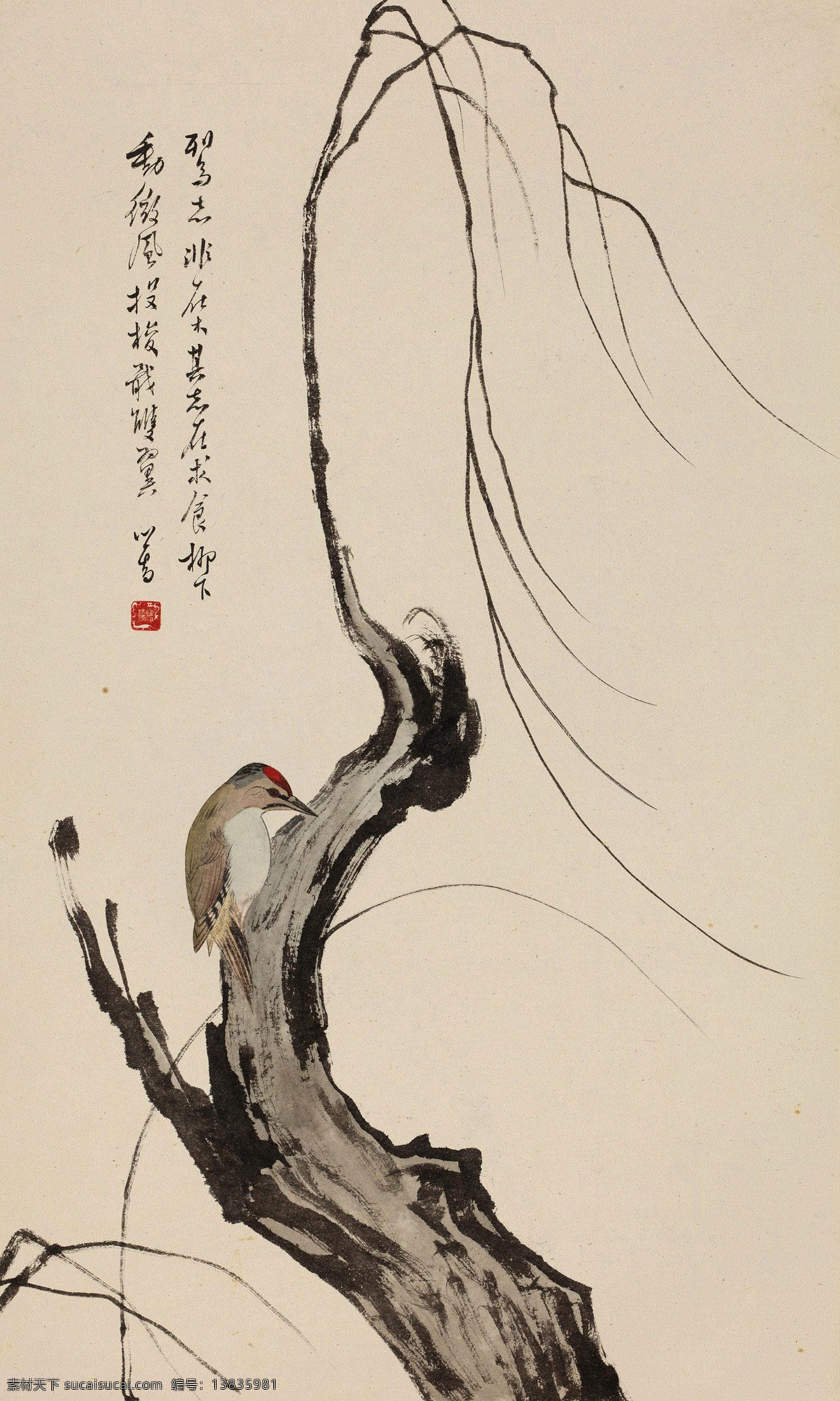 啄木鸟 国画 溥儒 森林医生 柳树 柳条 绘画书法 文化艺术