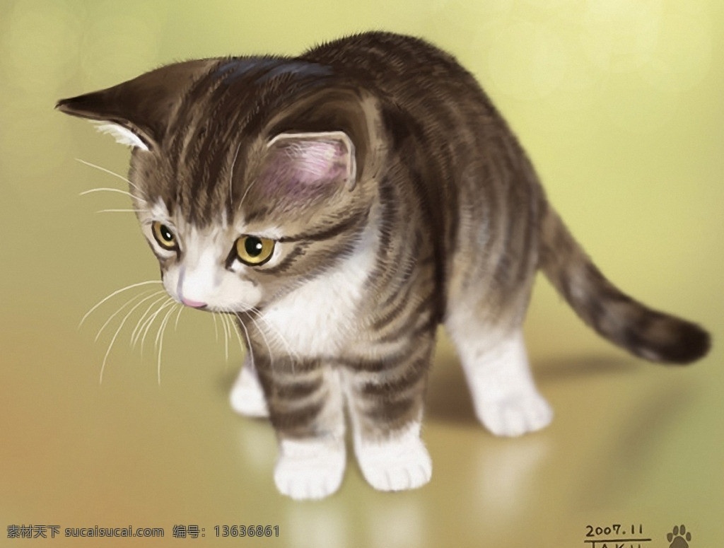 手绘 猫 cat 小猫 家猫 猫科动物 宠物 宠物猫 花猫 动漫 可爱 动漫动画