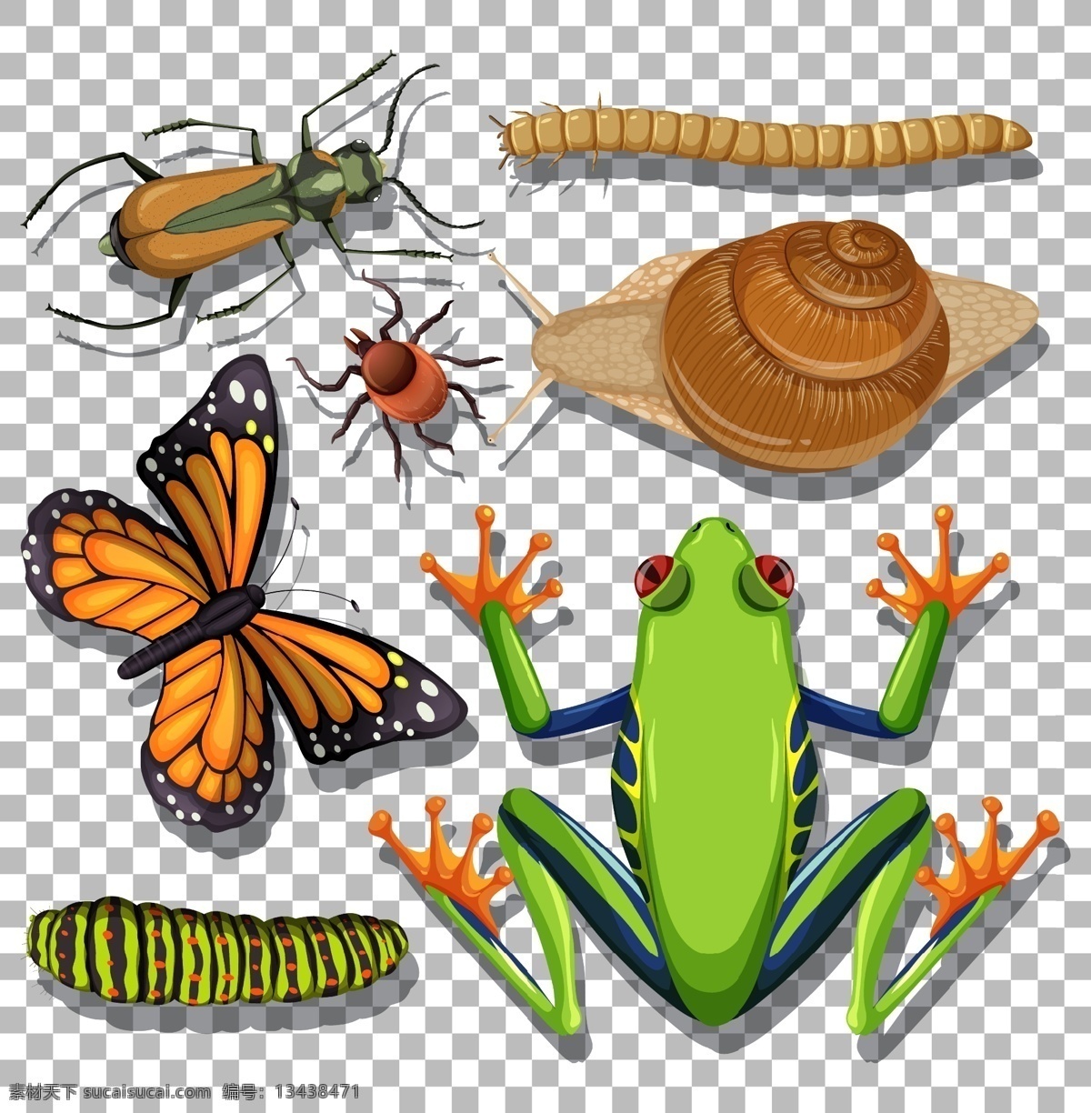 卡通昆虫图片 卡通昆虫 生命周期 进化 退化 演变 虫子 发展 生物 学科 生物世界 昆虫