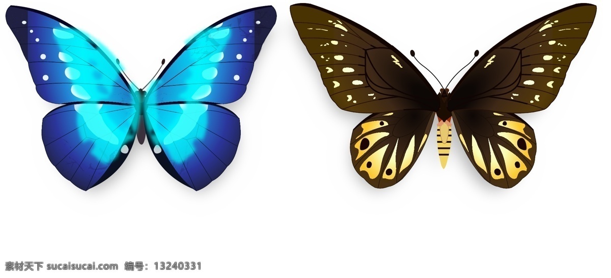 海伦娜 女皇 以及 各种 蝴蝶 蓝色 黑色 卡通 仿真 ae mg 动画 动漫 动物 自然
