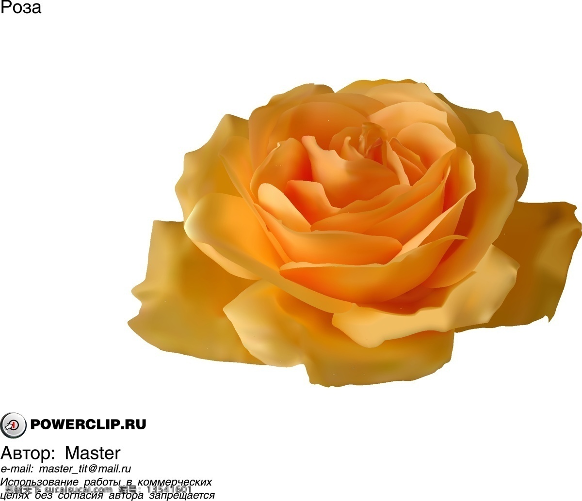 智能 现实 黄 玫瑰 矢量 材料 鲜花 写实油画 智能电网 写实的玫瑰 现实的 黄色的 向量 矢量图 日常生活