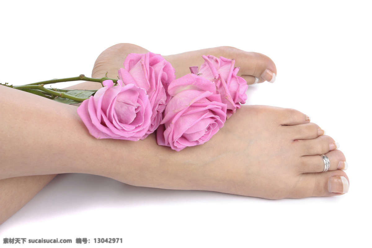 女人 腿 粉色 玫瑰 美腿 鲜花 人物图库 日常生活 女人的腿 百玫瑰与美腿 粉色玫瑰 玫瑰花 人体器官图 人物图片