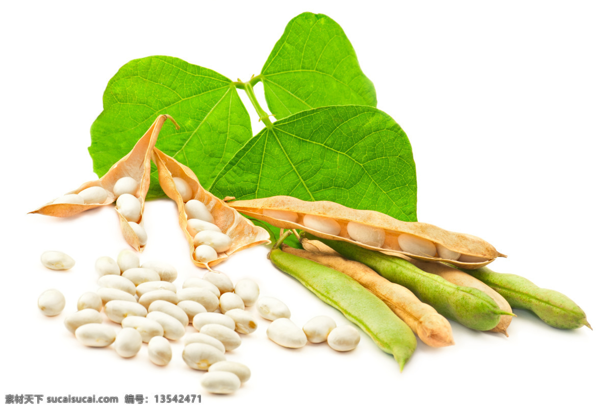 带 壳 黄豆 四季豆 散落 一堆 黄色 金黄 田园 大豆 豆子 毛豆 豆壳 豆荚 豆类 豆科 蔬菜 成熟 干枯 枯黄 叶子 树叶 带壳 芸豆 豇豆 长豇豆 粮食 庄稼 农作物 农产品 杂粮 白底 高清 微距 食物原料 餐饮美食