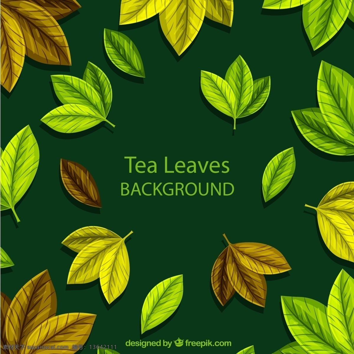 彩色 茶树 叶子 矢量 茶叶 矢量图 高清图片