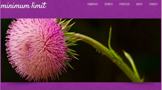 紫色 简洁 日志 网页模板 紫色简洁网页 日志网页模板 简洁素材 htmlcss 黑色