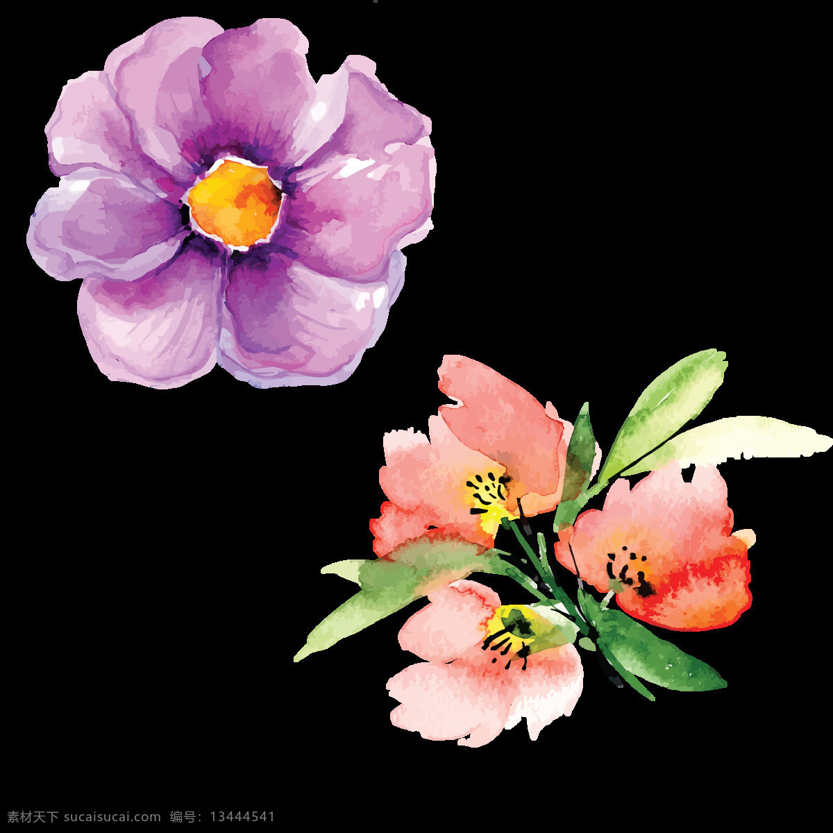 手绘 花朵 高清 唯美 花瓣 插画 彩绘 鲜花 花草
