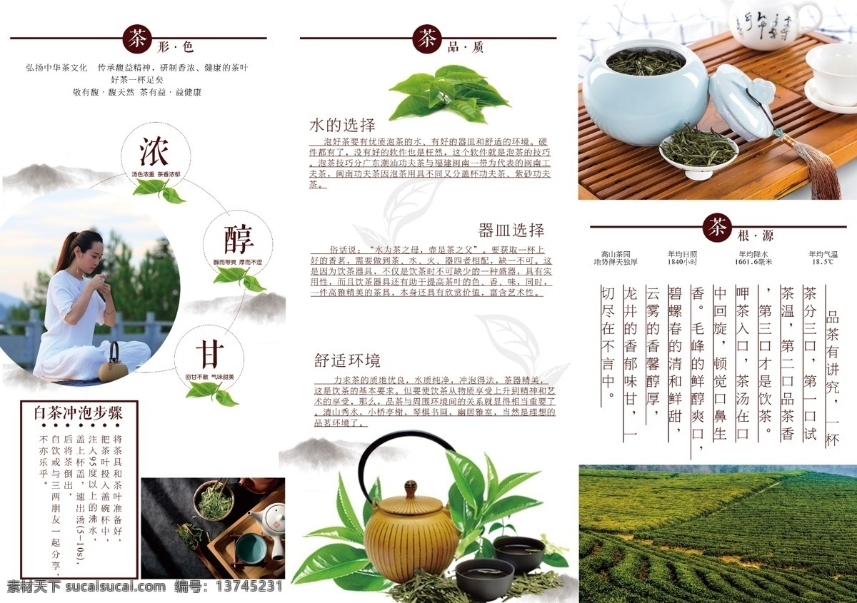 茶叶三折页 茶叶 茶园 品茶 茶道 茶店 花茶 龙井 普洱 毛尖 茉莉花茶 茶叶宣传册