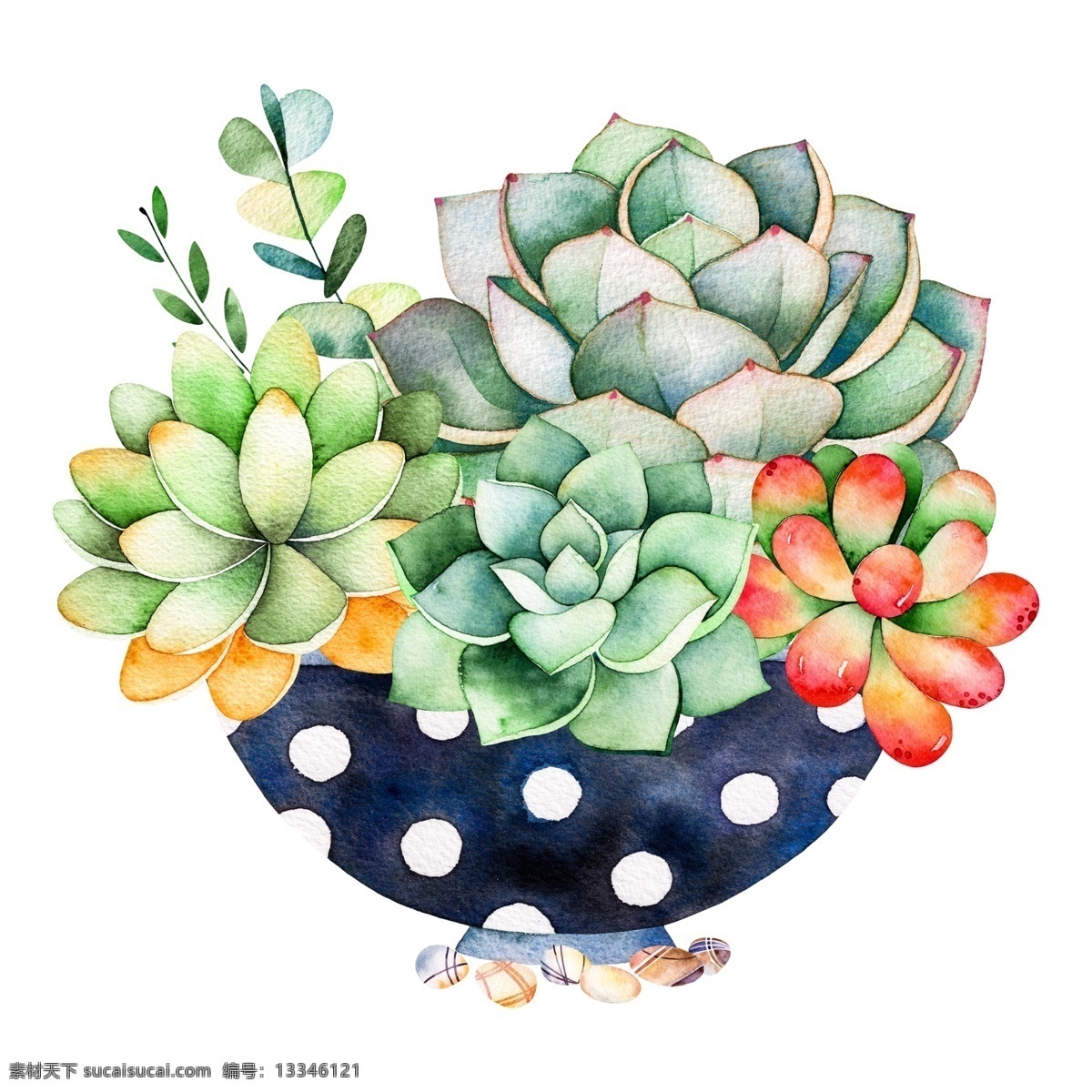 绘画多肉 清新 手绘 水彩 多肉 植物 文艺 花草 唯美 ins 花朵 花艺 盆栽 微缩 景观 迷你 复古 流行 时尚 美丽 漂亮 可爱 花瓣 红色 粉红 粉色 少女 蓝色 绿色 自然 天然 生物 紫色 荷花 开花 配图 水粉 油画 彩绘 绘画 化妆 护肤 保养 爱护 装饰 动漫动画 gif动画