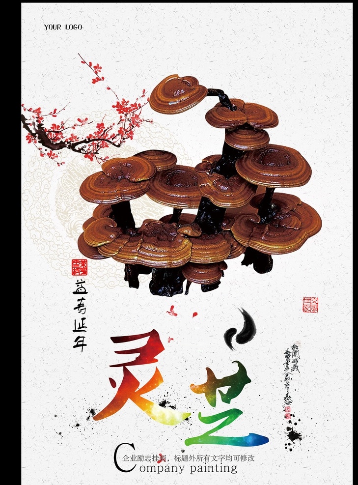 灵芝 海报 中药海报