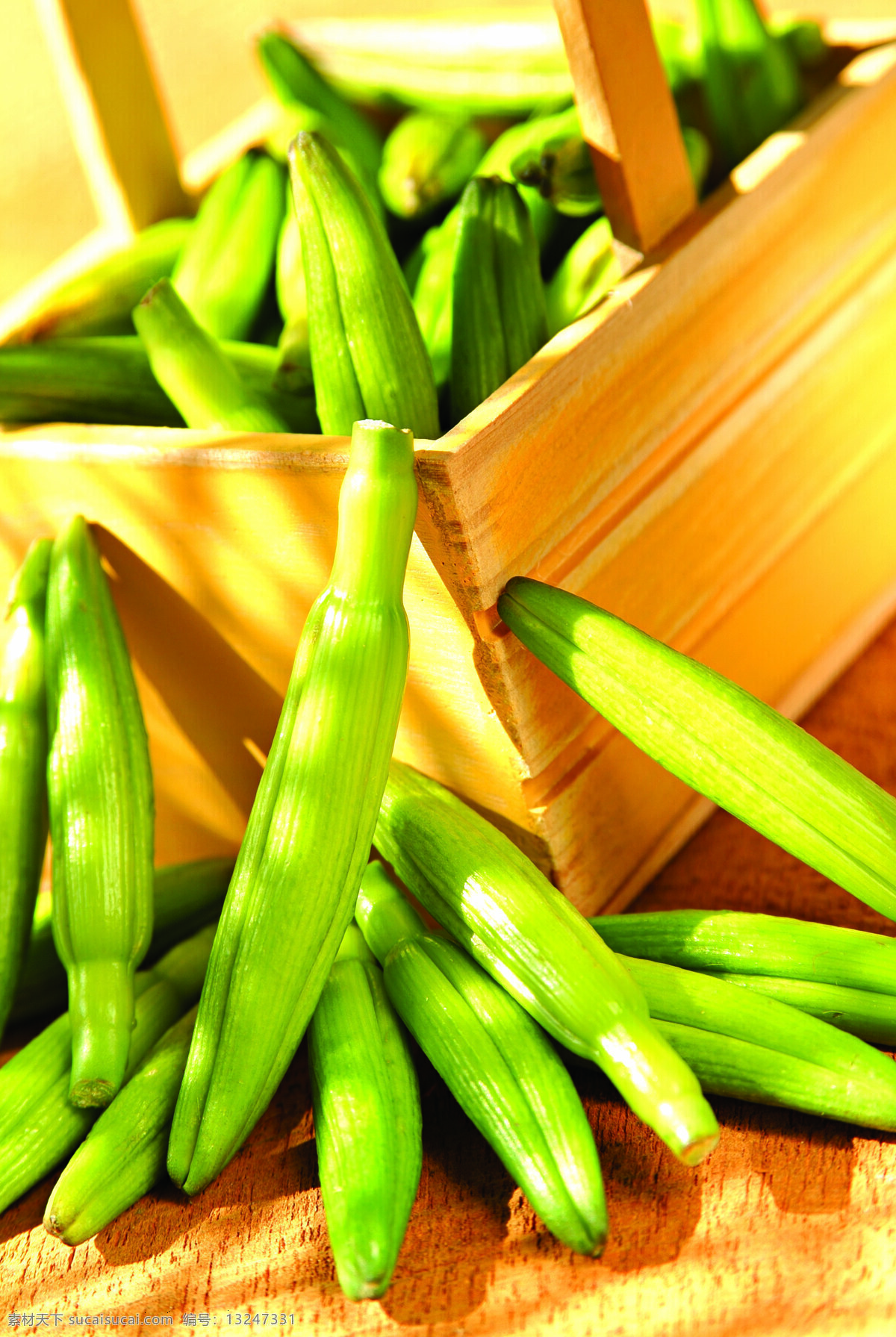 什锦 鲜 蔬 蔬菜 什锦鲜蔬 营养物 生物世界