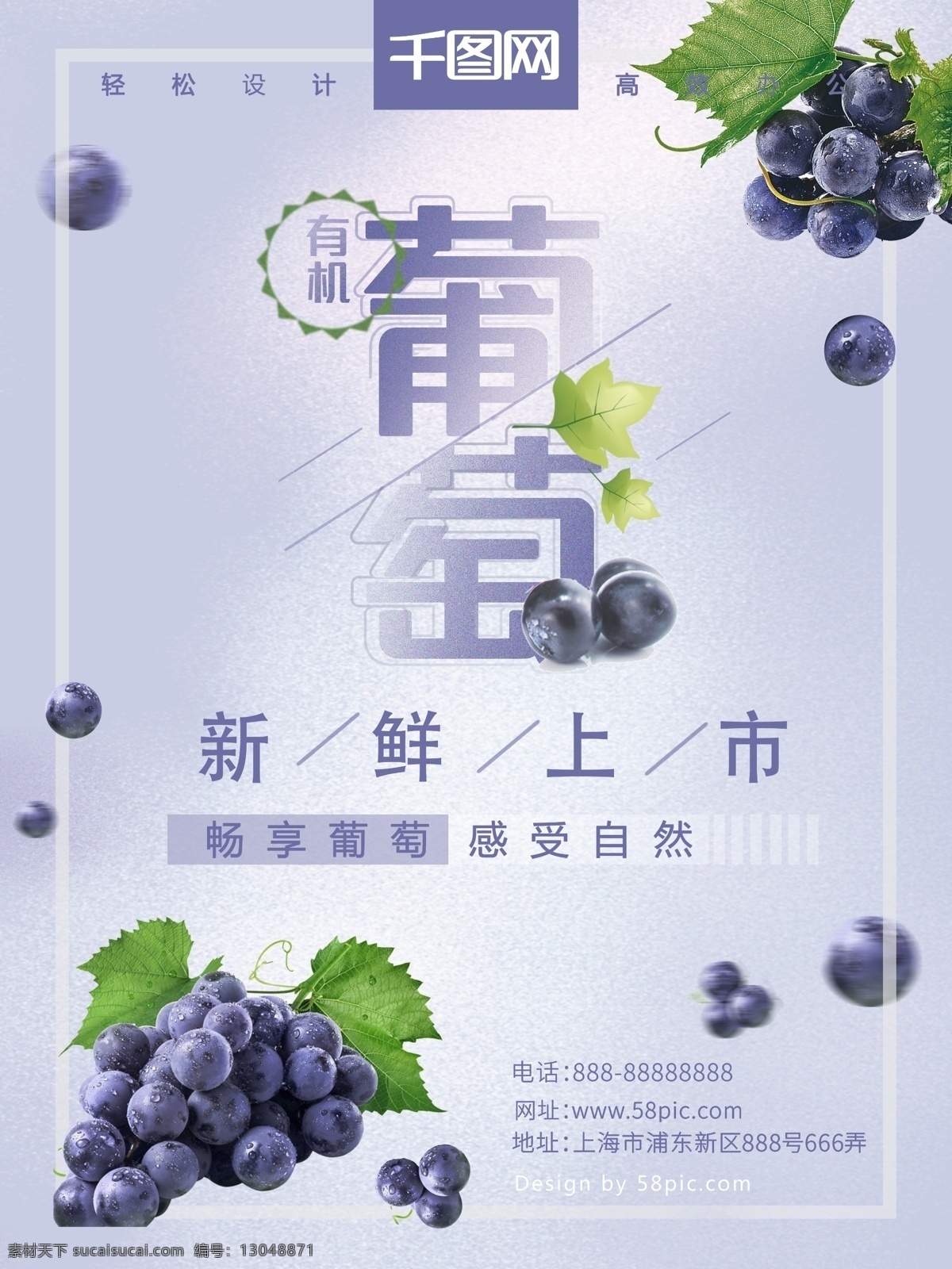 紫色 葡萄 美食 水果 促销 海报