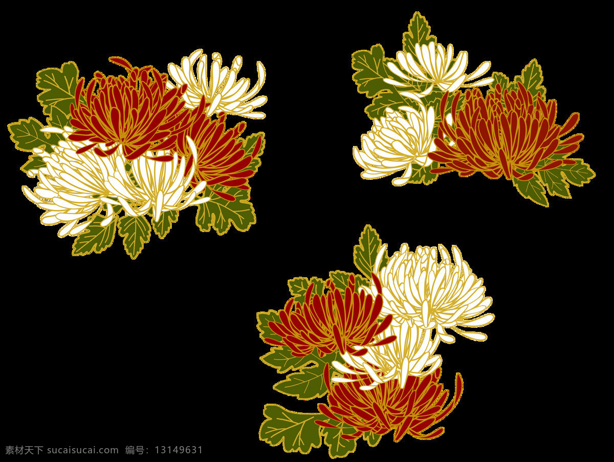 气质 深色 手绘 菊花 装饰 元素 花瓣 花朵 深色菊花 装饰元素
