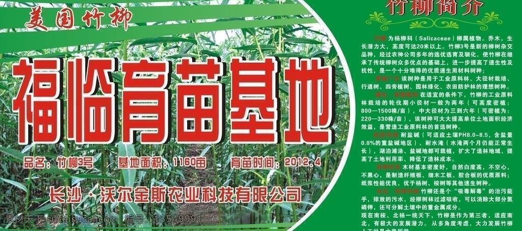 美国 竹 柳 绿色背景 绿色 背景 矢量 美国竹柳 竹柳 模板下载 矢量图 日常生活