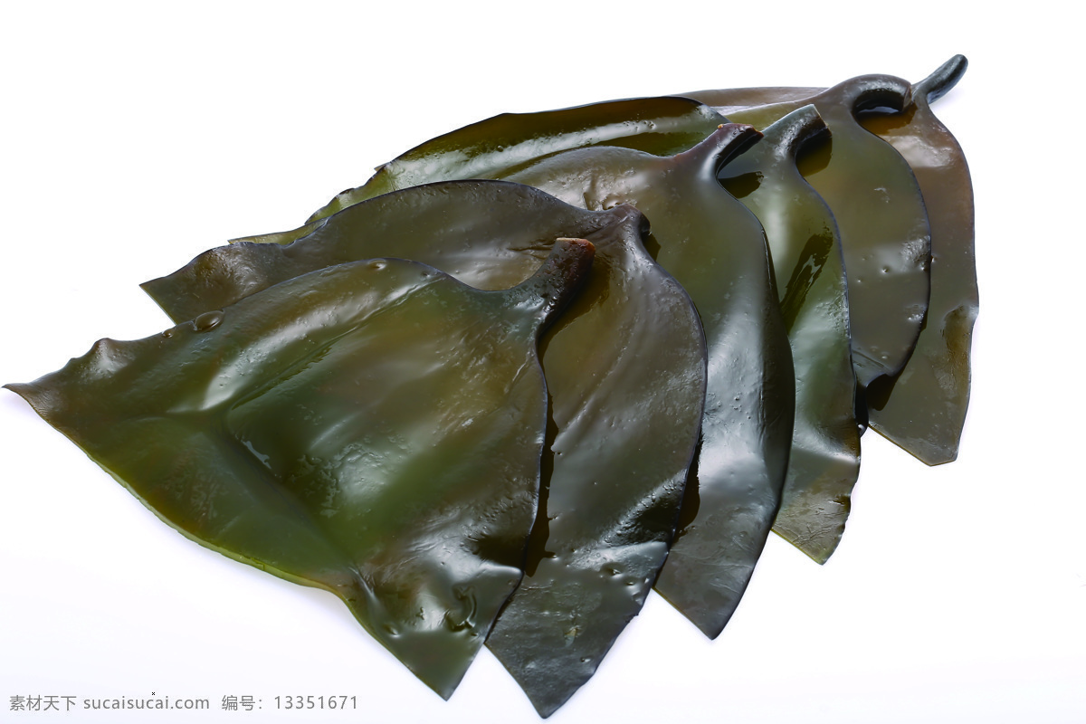 海白菜 水产品 海产品 海带结 海带丝 食物 食材 餐饮美食 食物原料